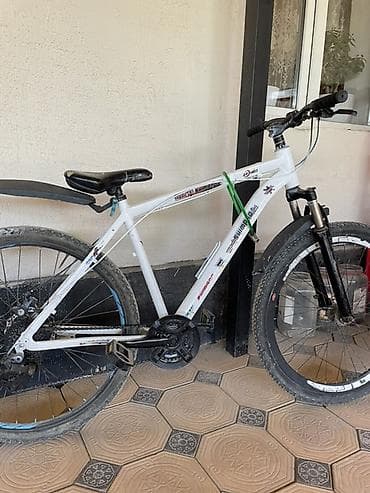 single speed: Горный велосипед, Рама L (172 - 185 см), Сталь — 2