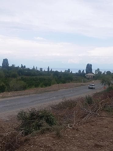 вагон сатам: 47 соток, Айыл чарба үчүн — 4