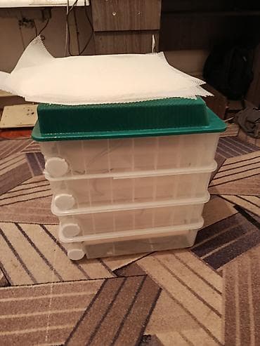 Готовый бизнес: Полностью автоматический инкубатор для яиц с цифровым управлением — 2