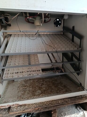 Оборудование для производства: Инкубатор промышленного типа + бензиновый генератор Описание — 5