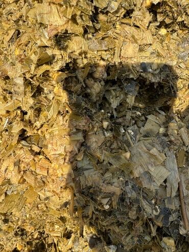 возьму собаку даром: Продаю силос высшего качества Мелкого дробления с зернами Адрес село — 5