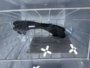 porter холодильник: В наличии — 6