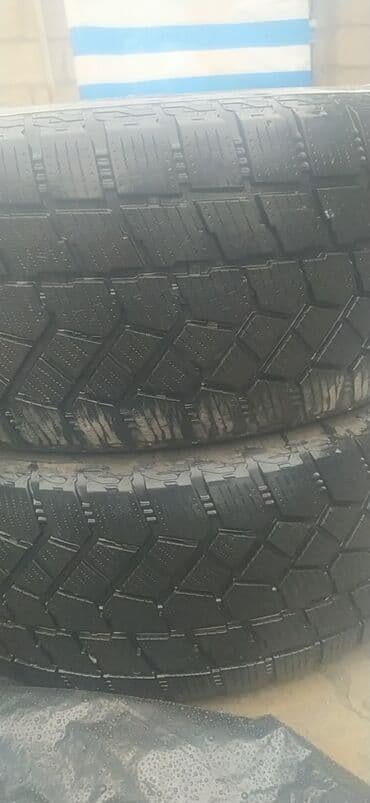 низкопрофильные шины: Шины — 4