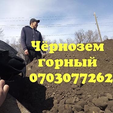 4 pot: В тоннах, Платная доставка, Зил — 3