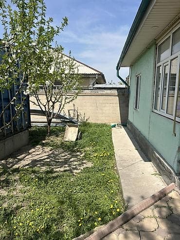 Недвижимость: 8 соток — 7