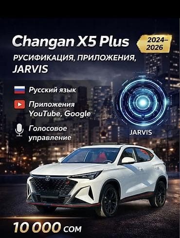 Полное сопровождение под ключ русификация+приложения+голосовой