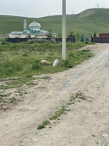 6 соток, Красная книга