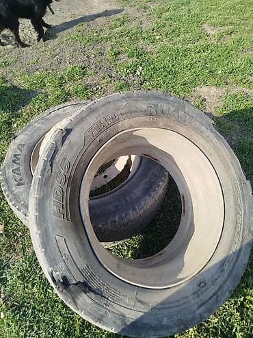 man тягач: Шины 295 / 80 / R 22,5, Комплект, Грузовики/Автобусы, Bridgestone — 4