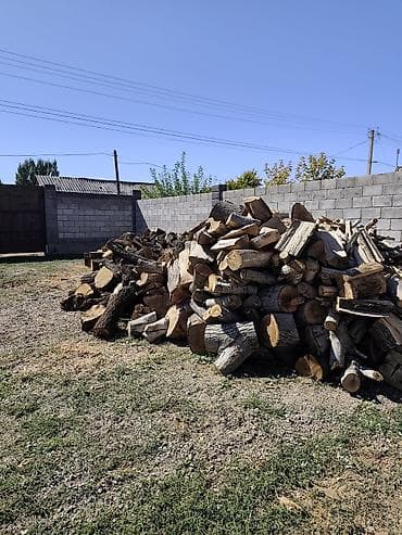 тактай лес бу: Услуга бензопилы — 6