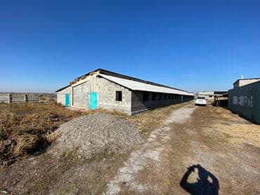 село раздольное кыргызстан: Сдаю в аренду базу в селе Раздольное для МРС и КРС(бычки 100 голов) — 2
