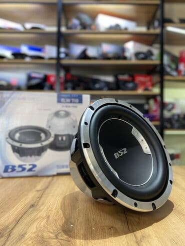 динамик сабвуфер: Сабвуфер элемент 5 ! Динамик. 10ка 25см. 300watt RMS. Отличное решение — 9