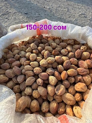 Ягоды: Продаю сушеную курагу. Сорт ( Сникерс). Оптом. Адрес: Бишкек. Цена — 4