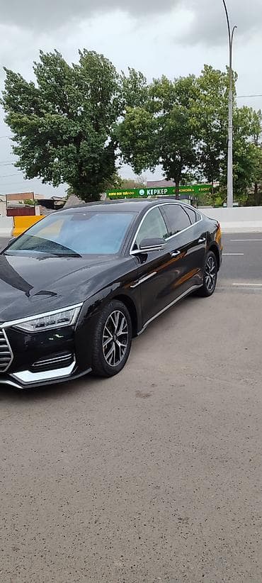 byd 5: BYD E9: 2021 г., Автомат, Электромобиль, Седан — 3