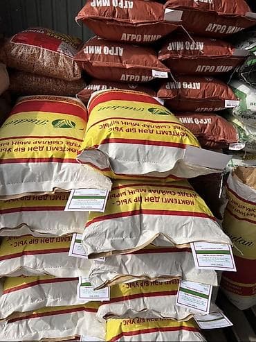 кукуруза зерно: Жугору уруктар,Ала -тоо МанасБудан Чыгышына кепилдик бар :Бишкек — 3