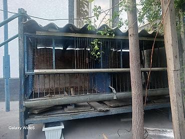 Универсальная уличная клеточная батарея для птицы/кроликов. -