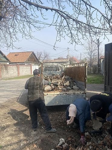 Другие животные: Вывоз Мусор Вывоз Мусора Вывоз мусора — 1