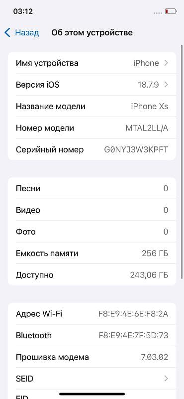 iphone iphone: IPhone Xs, 256 ГБ, 96 % — 4