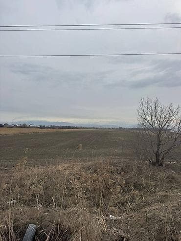 магистраль участок: 430 соток — 3