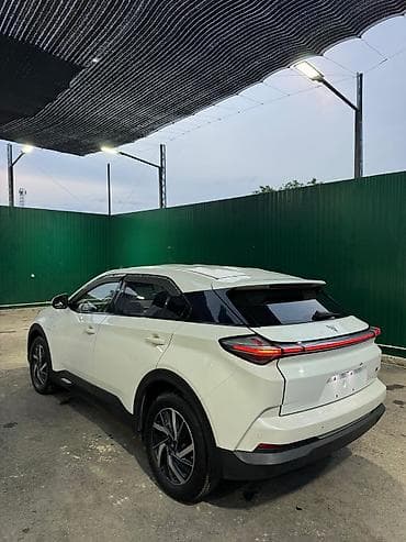 нетта л: BYD : 2022 г., 0.1 л, Автомат, Электромобиль, Кроссовер — 5