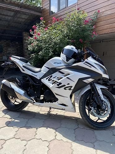 Спортбайк Kawasaki, 250 куб. см, Бензин, Взрослый, Б/у — 1
