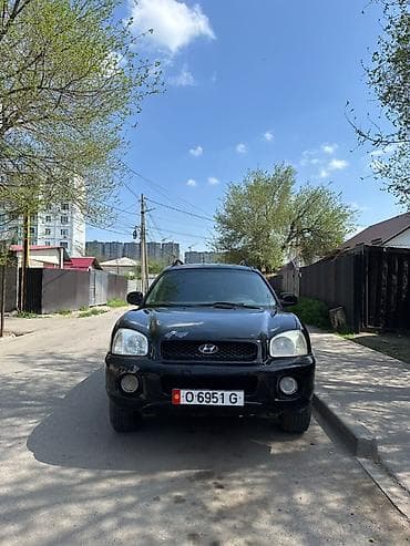 Hyundai Santa Fe: 2002 г., 2.4 л, Механика, Бензин, Кроссовер