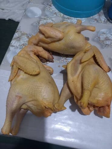куриное филе цена бишкек: Курица :, 2 кг, Самовывоз, Платная доставка — 1