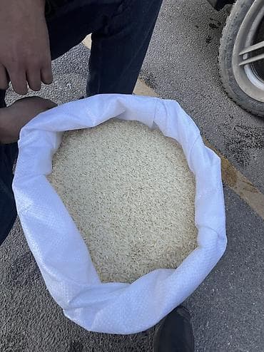 Крупы, мука, сахар: Рис оптом. в белых мешках по 25 кг. Турецкий оптом похоже на лазер 2 — 1