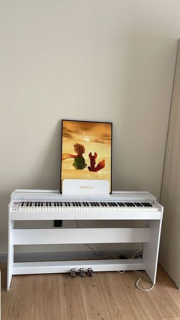 Музыкальные инструменты: Полноактавное акустическое пианино, понятный цветной дисплей, с — 8