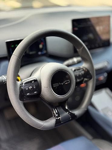 BYD : 2025 г., Электромобиль, Хэтчбэк — 10