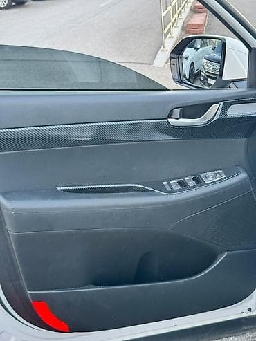 byd leopard: Hyundai Palisade: 2021 г., Кроссовер — 9