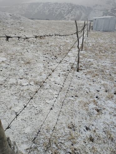 электронные пригласительные на свадьбу на кыргызском языке: Услуги переводчика — 2