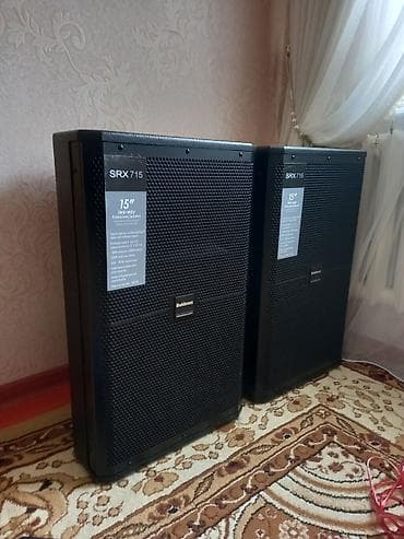 Пассивные акустические системы Bekboos SRX715 (пара) - Формат