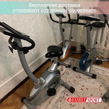 домашний велотренажёр: FAMILY SPORT Велотренажеры LongStyle Proteus Велотренажёр — 1