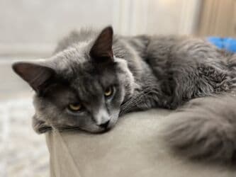 майлу суу: Мальчик — 2