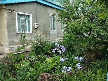 Дома: Дом с садом и удобствами - Жилой дом с фасадом из штукатурки, крыша — 1
