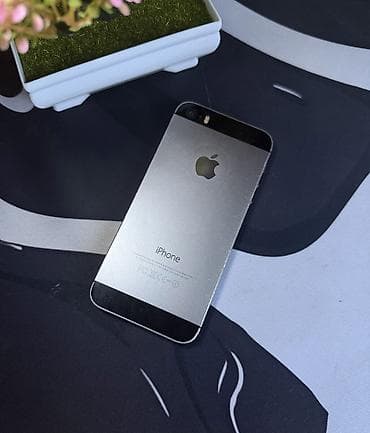 ipone: IPhone 5s, Б/у, 32 ГБ, Серебристый, Защитное стекло, Чехол, Кабель — 1