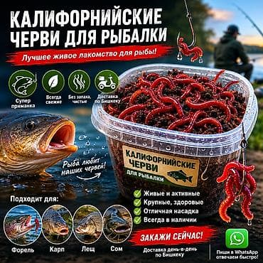 Калифорнийские черви для рыбалки — лучшее живое лакомство для рыбы