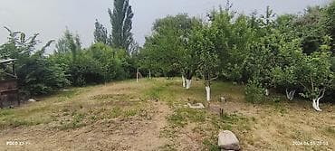 продам железный гараж: Дом с участком и хозпостройками - Жилой дом на участке с зелёным — 9