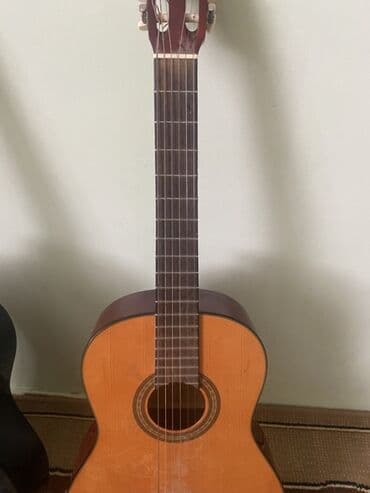 спортивное оборудование: Акустическая гитара классического стиля, представленная в двух — 2