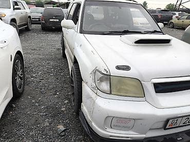 я ищу форестер: Subaru Forester: 2001 г., 2 л, Ручные, Бензин, Универсал — 5