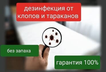 химчистка рядом: Дезинфекция, дезинсекция, | Клопы, Блохи, Тараканы, | Транспорт, Офисы, Квартиры — 6