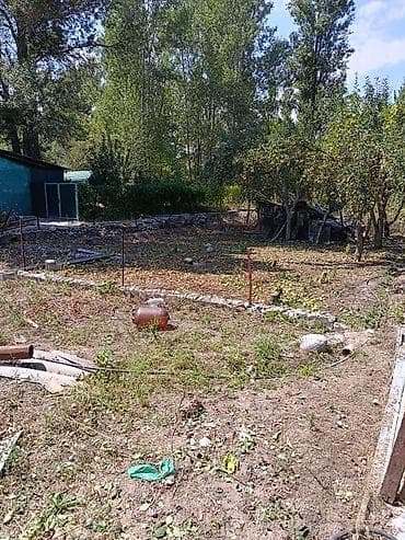 50 000: 5 соток, Для строительства, Договор дарения — 4