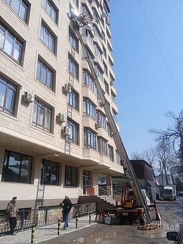 стремянка на прокат: Стрела 45 м, 300 т — 2