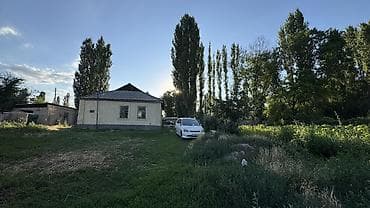 all group: 25 соток — 4