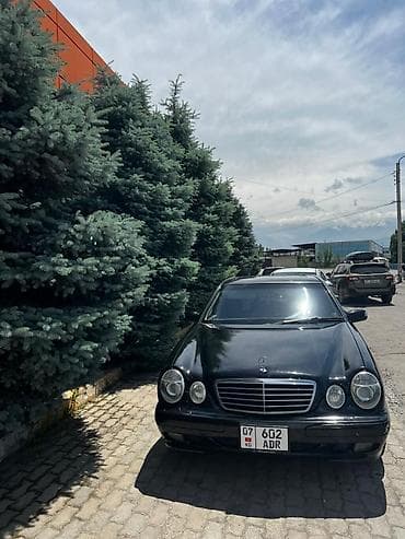 outback br: Mercedes-Benz : 2000 г., 3.2 л, Автомат, Бензин, Седан — 1