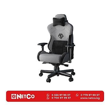 Игровое кресло AndaSeat T-Pro II Premium GRAY&BLACK 4D Armrest