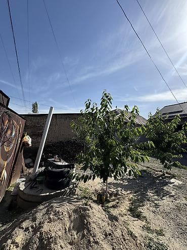 частные объявления: 🏡 Продаётся дом в Новопавловке! 📍 Всего 500 м от главной трассы ✔ — 2