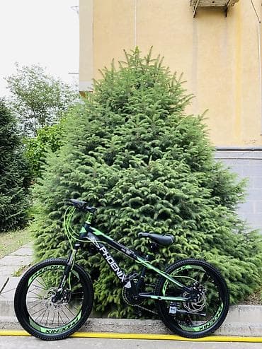 jac 9: Детский велосипед, 2-колесный, 9 - 13 лет, Для мальчика, Новый — 2