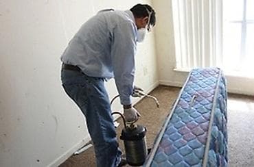 Клининговые услуги: Дезинфекция, дезинсекция, | Блохи, Муравьи, Мыши и крысы, | Транспорт, Квартиры, Подъезды — 3