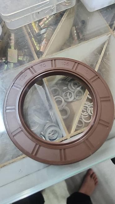 Жылчыктыгындар: Маслосъёмные сальники SNAK (OILSEAL) - Тип/исполнение: TG4 и TC — 1